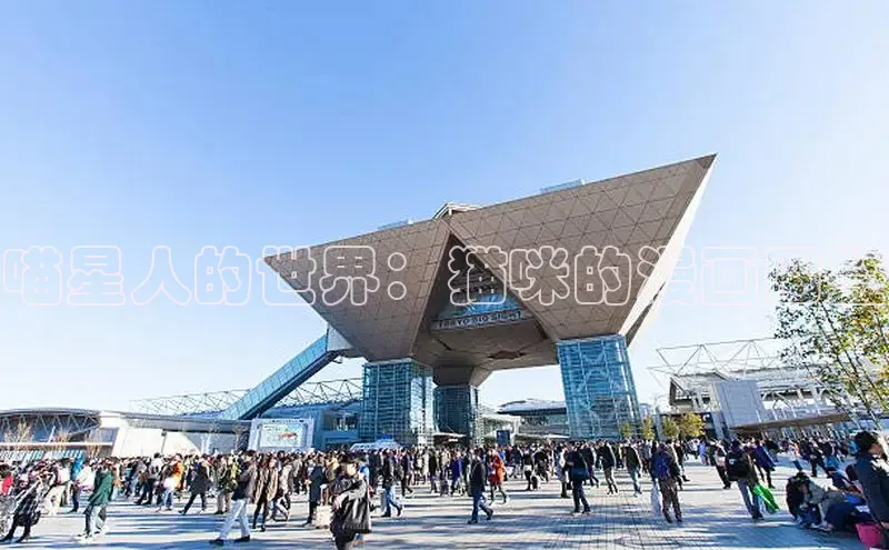 香蕉文化-漫画动漫小说开元,APP